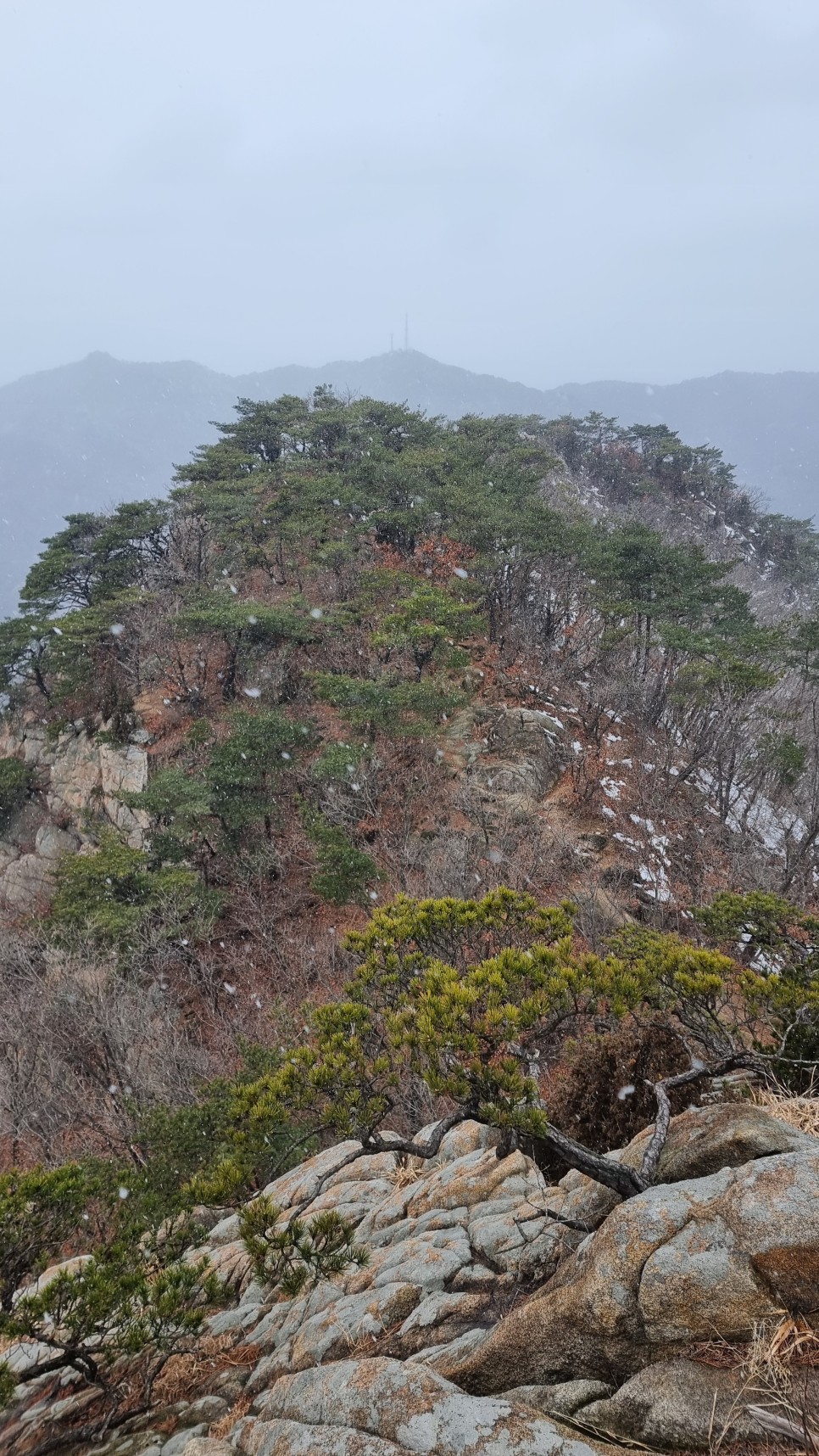 관악산 등산, 신년 설중 산행 (사당역 ~ 관악산역)