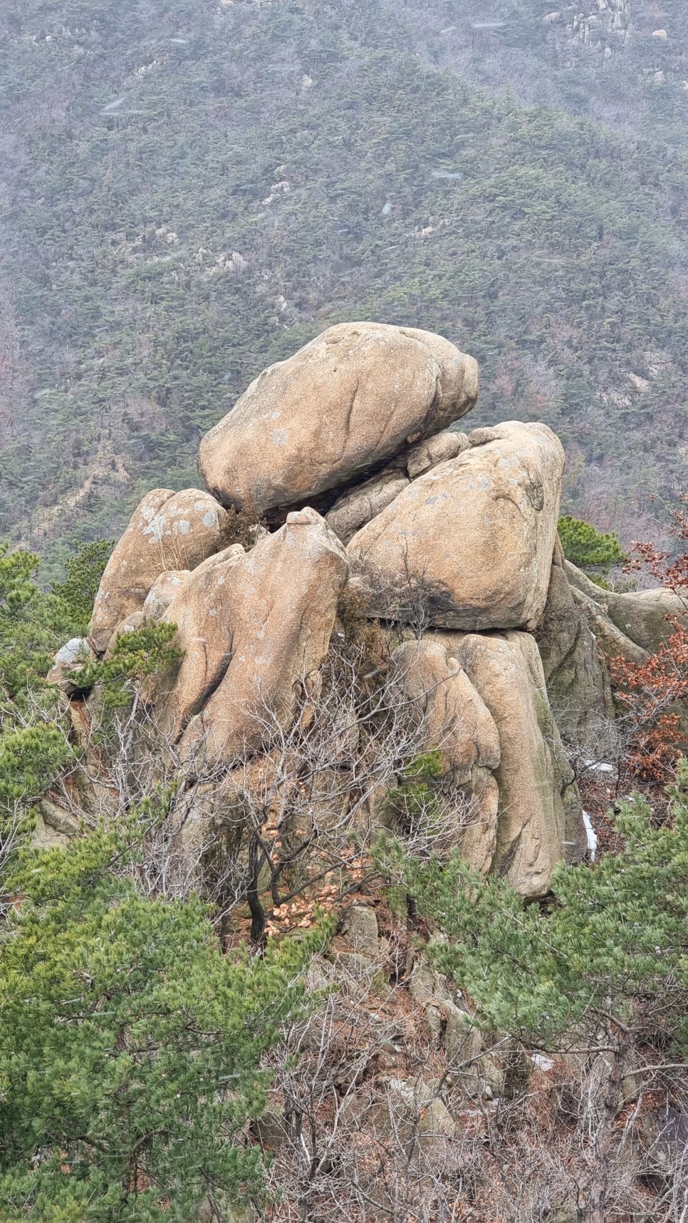 관악산 등산, 신년 설중 산행 (사당역 ~ 관악산역)