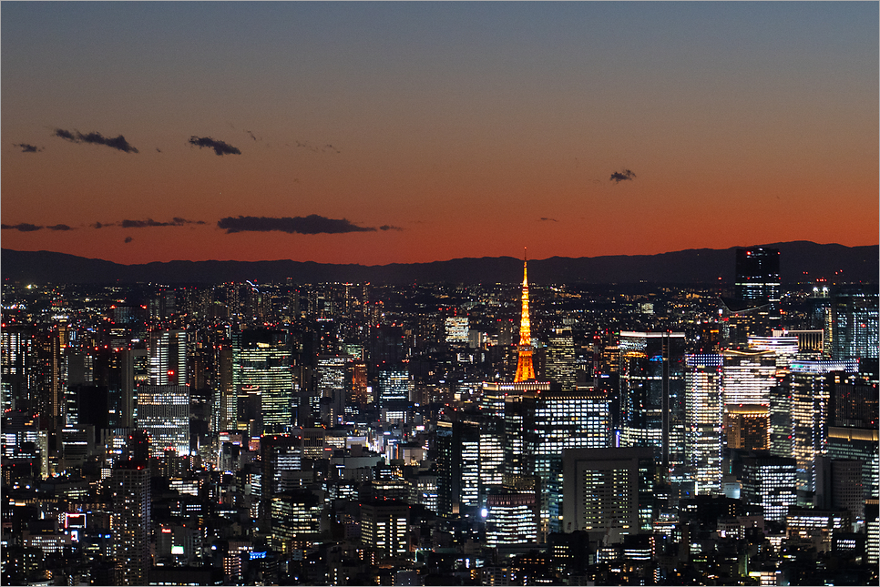 일본 도쿄 스카이트리 예약 야경 주경 한번에 도쿄여행