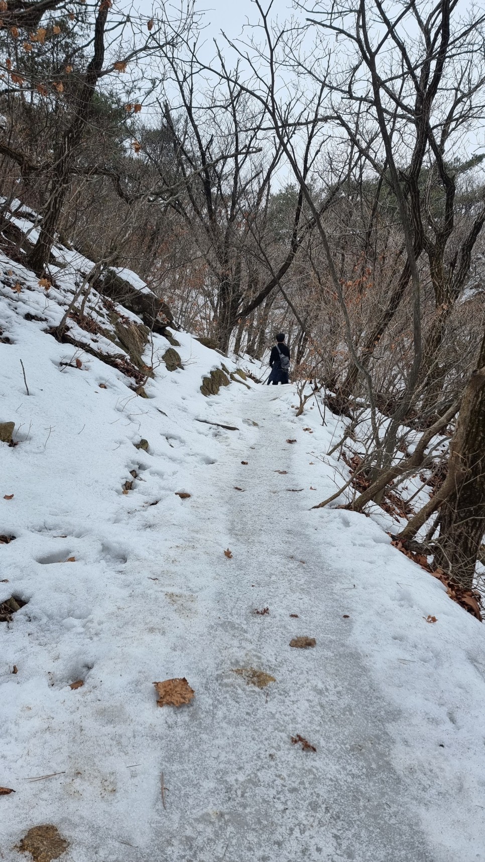 관악산 등산, 신년 설중 산행 (사당역 ~ 관악산역)