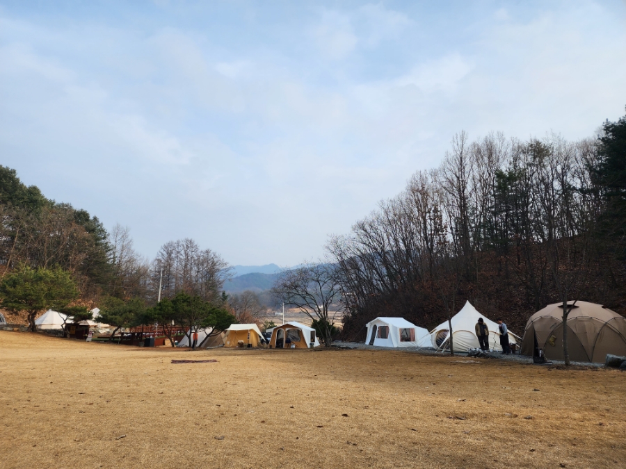 캠프인디오 애견 동반 홍천 캠핑장