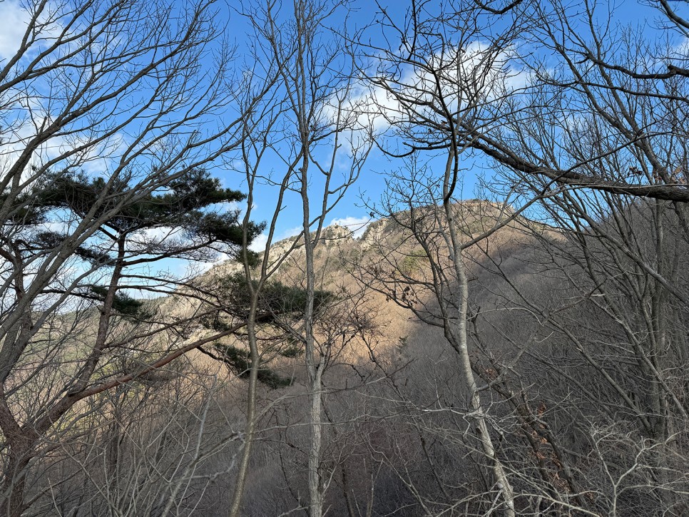 [297] 화순 백아산 (눈썰매장 출발 하늘다리 마당바위 코스)