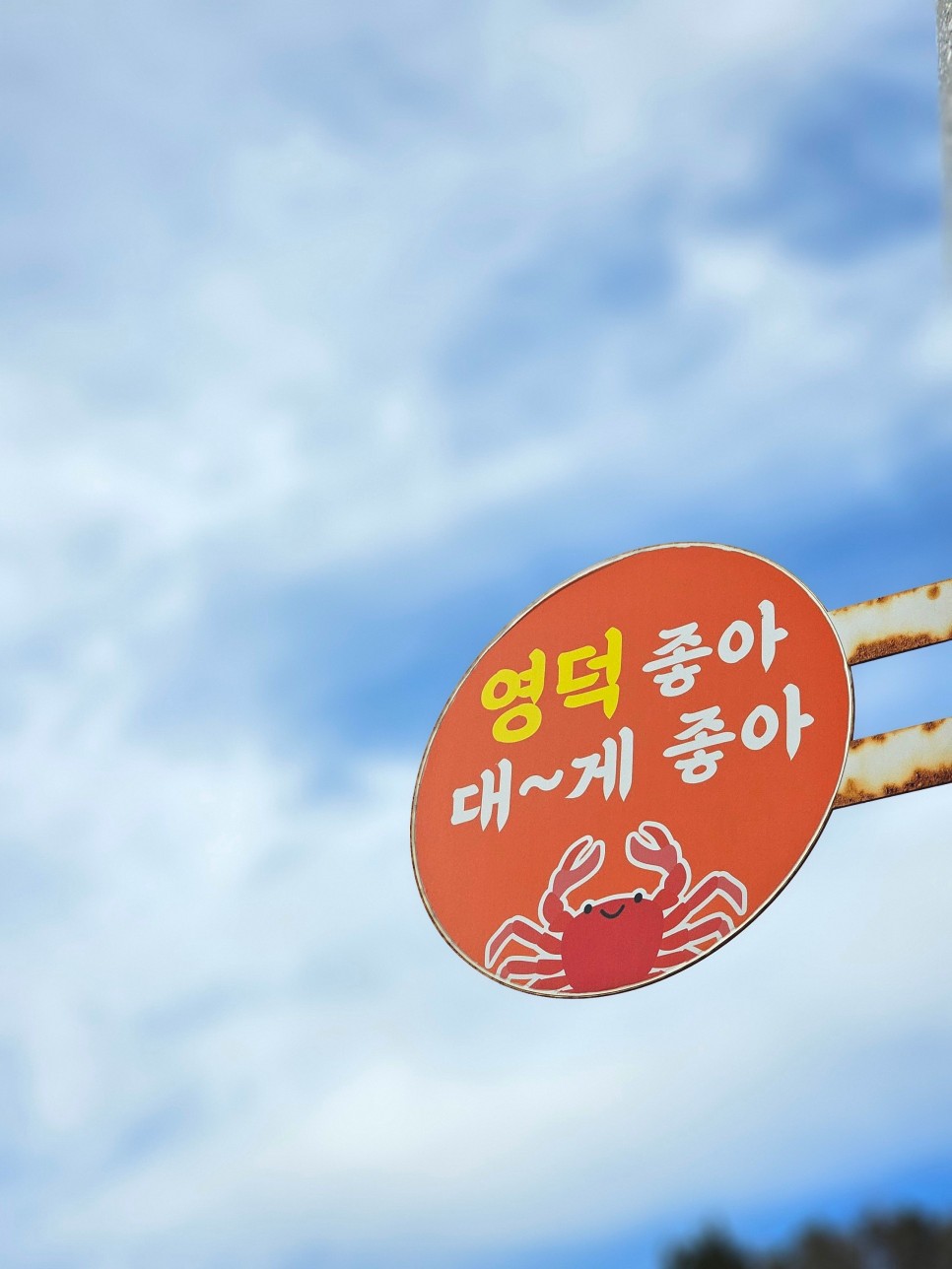 경북 영덕 맛집 대게 맛있는 병곡면 바닷가 분위기 좋은 백미향