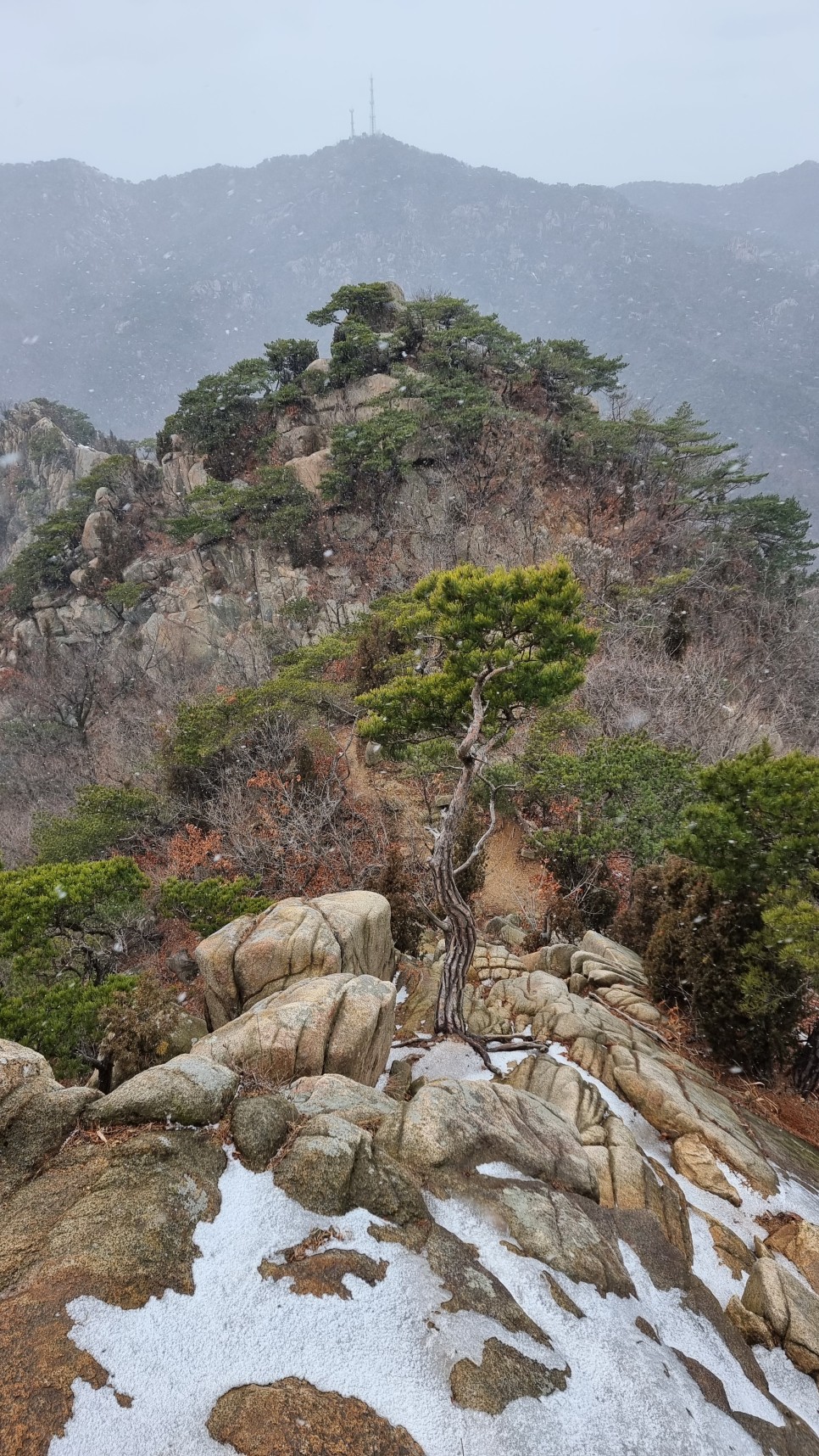 관악산 등산, 신년 설중 산행 (사당역 ~ 관악산역)