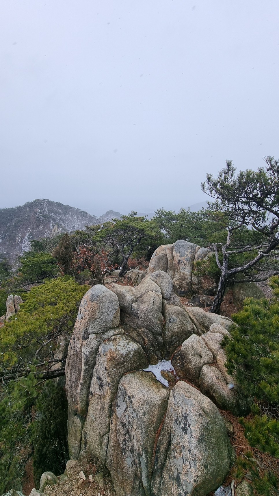 관악산 등산, 신년 설중 산행 (사당역 ~ 관악산역)