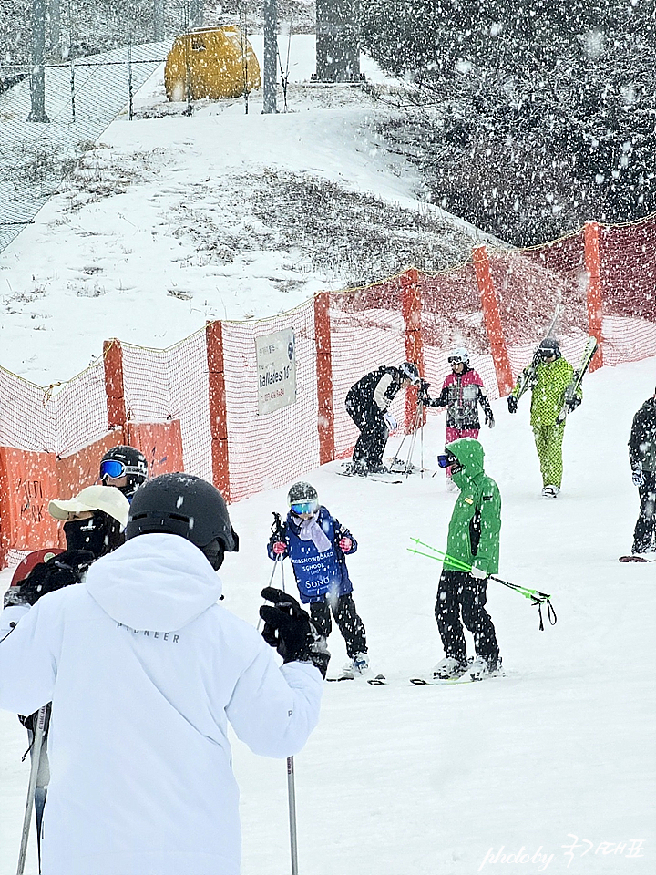 홍천 비발디파크 스키장 어린이 스키강습 후기