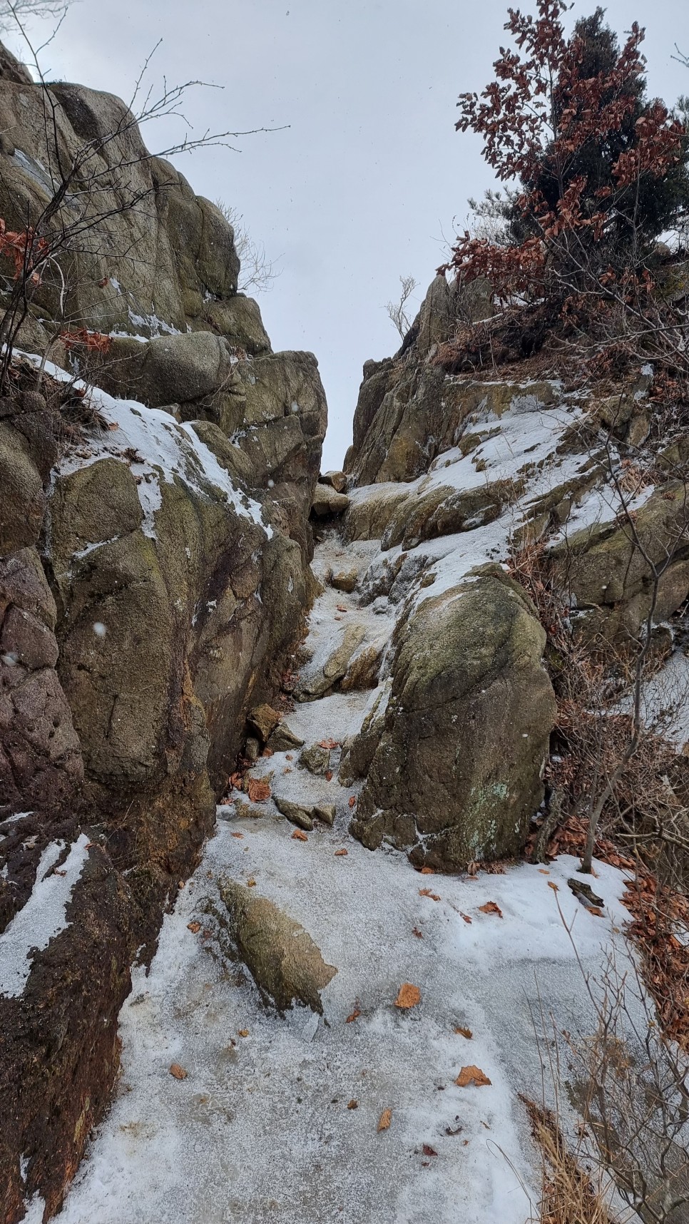 관악산 등산, 신년 설중 산행 (사당역 ~ 관악산역)