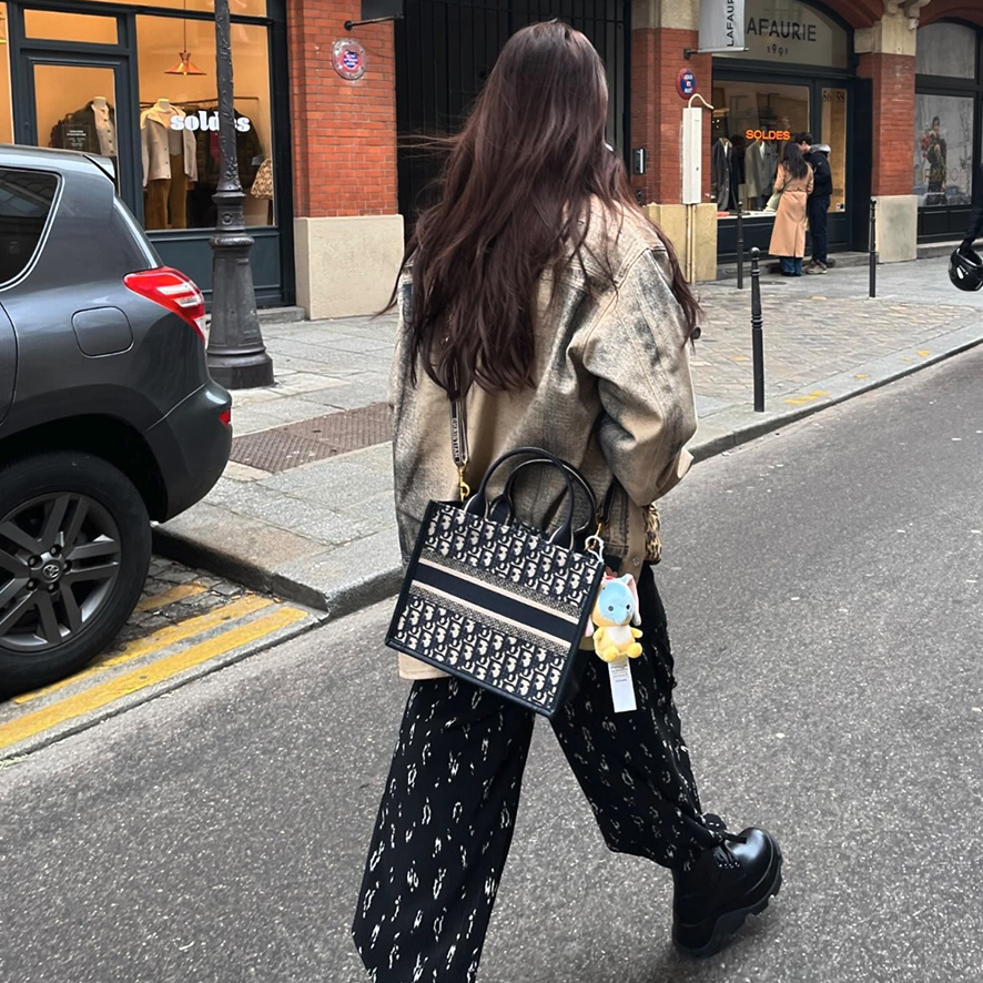 한소희 패션 파리 여행룩 디올 가방 북 토트백 스몰 30대 여자명품 가방