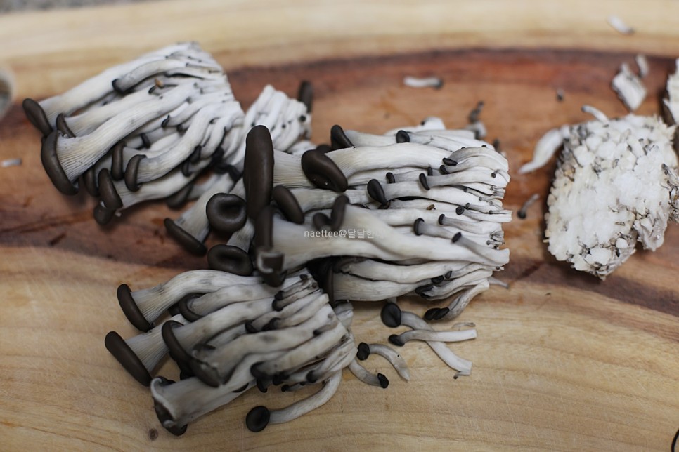 느타리버섯볶음 만드는 법 느타리버섯 요리 야채 반찬 종류