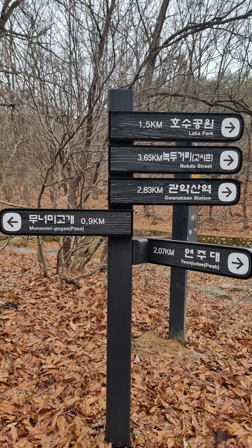 관악산 등산, 신년 설중 산행 (사당역 ~ 관악산역)