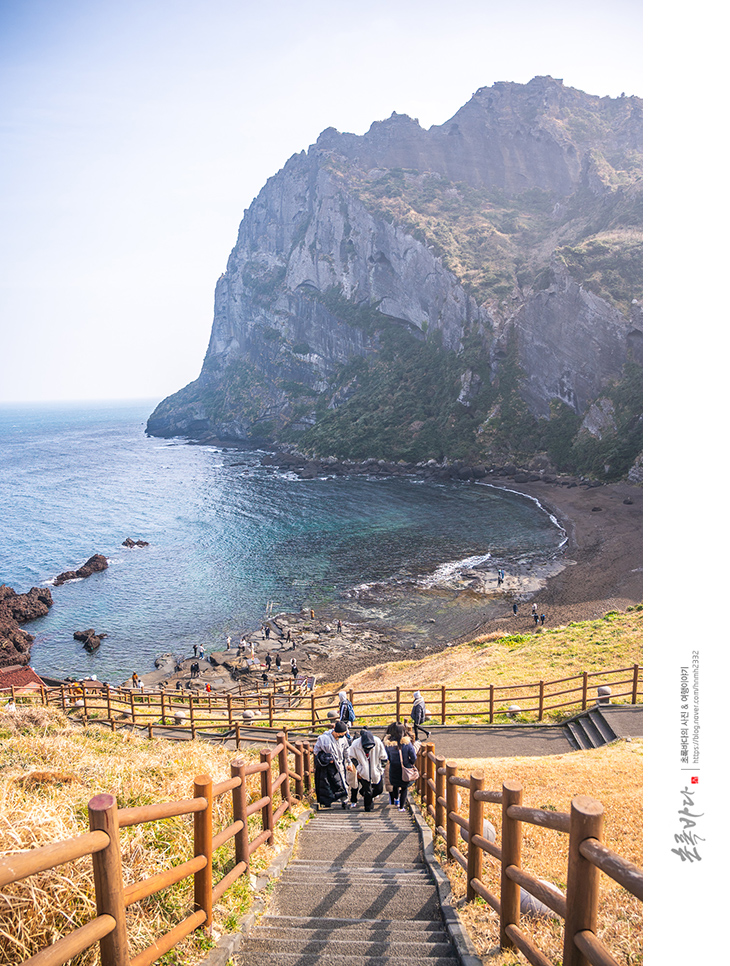 제주도 관광지 제주 성산일출봉 여행 유채꽃명소+먹거리