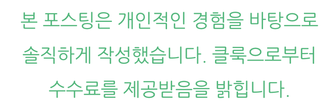 파리 디즈니랜드 꿀팁 티켓 가는법 놀이기구 파리여행 가볼만한곳