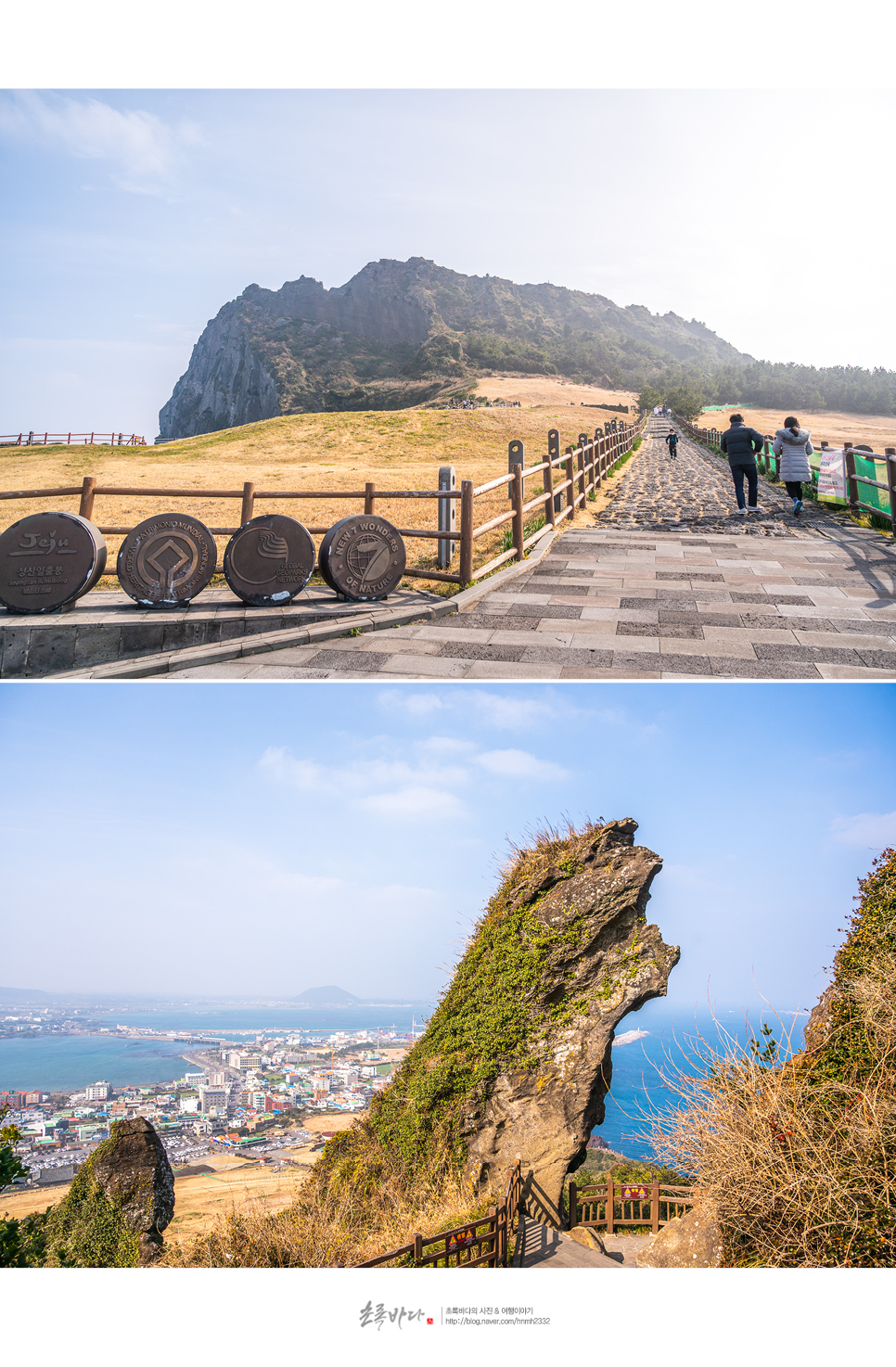 제주도 관광지 제주 성산일출봉 여행 유채꽃명소+먹거리