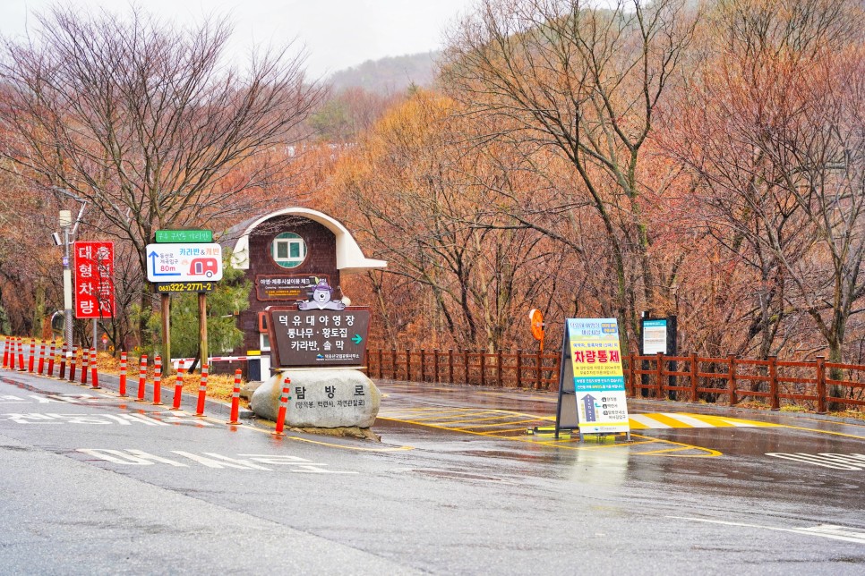 [덕유산 국립공원] 구천동 어사길을 걷다! 월하탄과 구천동탐방지원센터