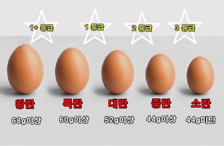 압력밥솥 구운계란 만드는법 훈제계란 만들기 다이어트식 영양 간식 추천