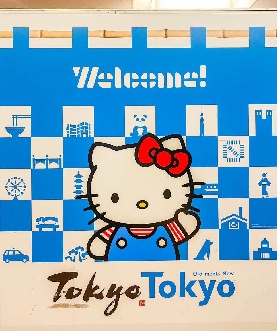 일본 도쿄 여행 하네다 항공권 예약 일본벚꽃 시기 도쿄벚꽃