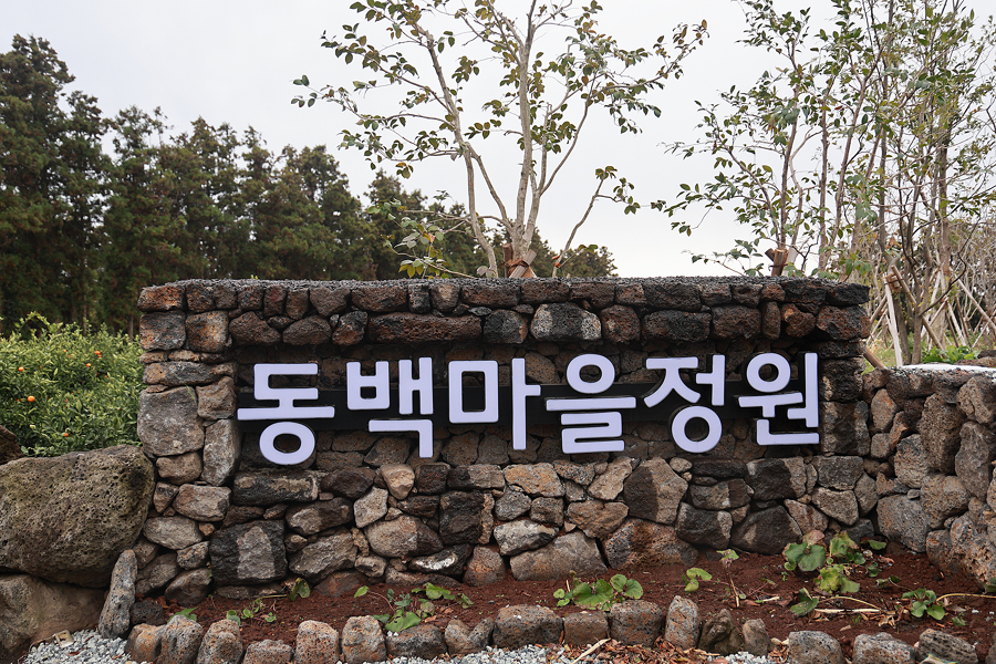 겨울 제주 여행 제주 아쿠아플라넷 외 동쪽 코스