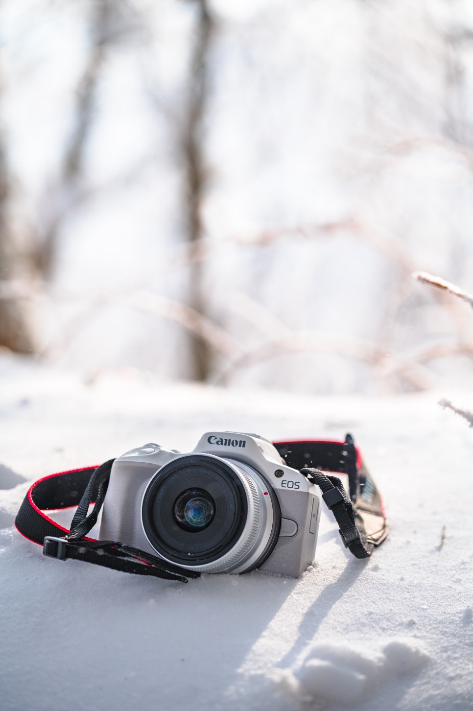 입문용 카메라 캐논 EOS R50 동네찍사의 일상과 겨울여행