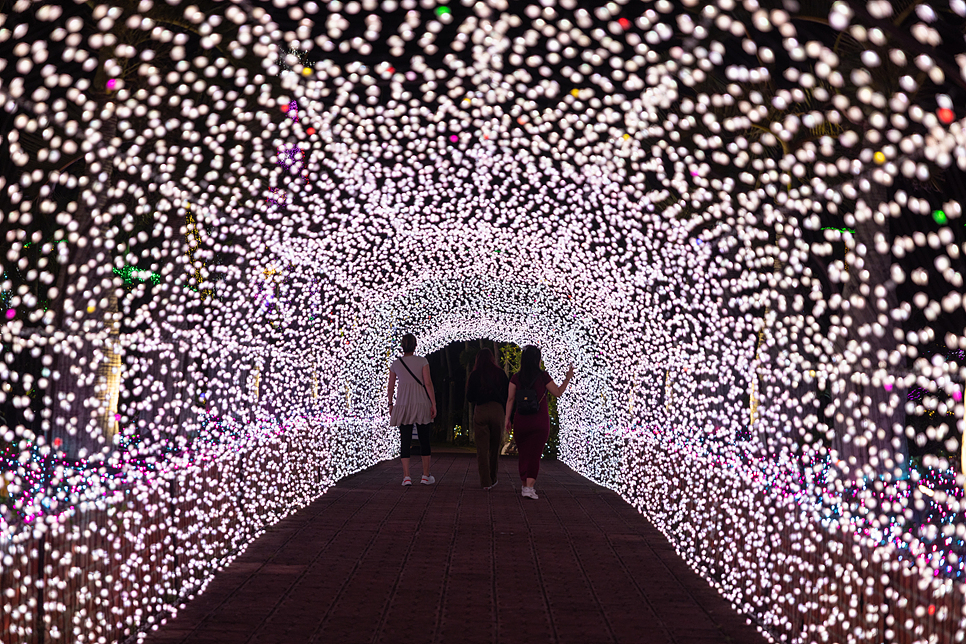 겨울 일본 오키나와 자유여행 중부 관광지 오키나와 가볼만한곳 국제거리