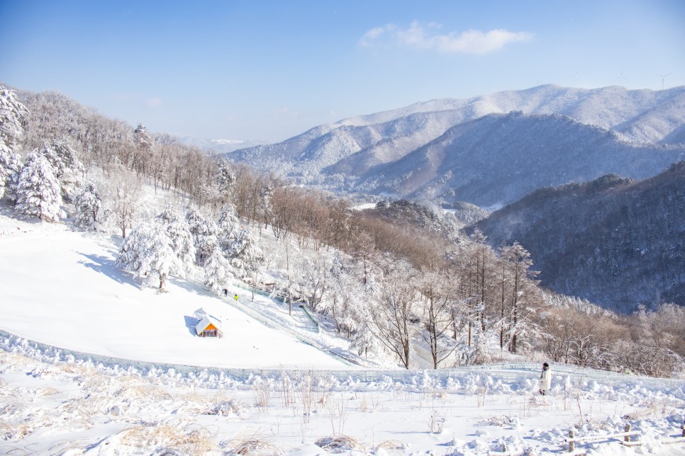 입문용 카메라 캐논 EOS R50 동네찍사의 일상과 겨울여행