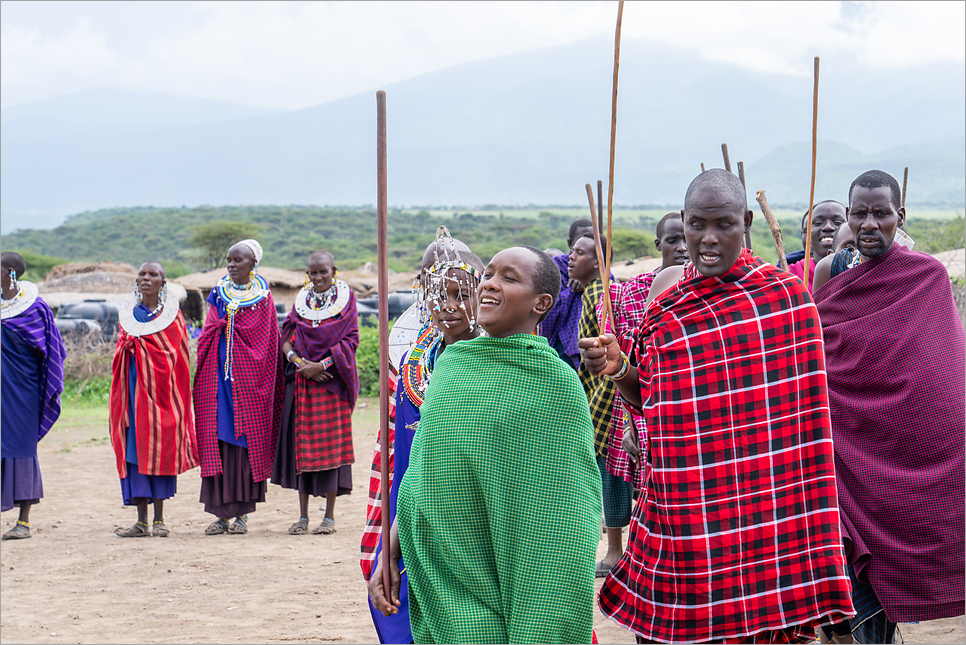 탄자니아 세렝게티 국립공원 투어 아프리카 신혼여행 해외여행지 추천