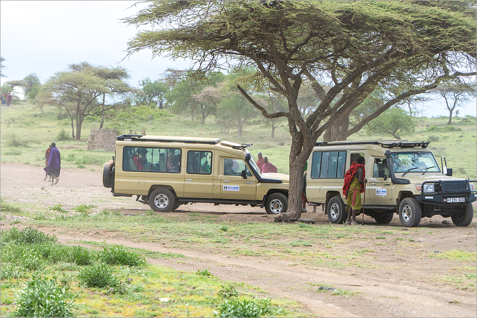 탄자니아 세렝게티 국립공원 투어 아프리카 신혼여행 해외여행지 추천
