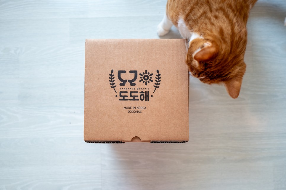 [고양이 용품] 고양이 도자기 식기 : 도도해 베이비 민트 밑식기 & 내부 식기 set