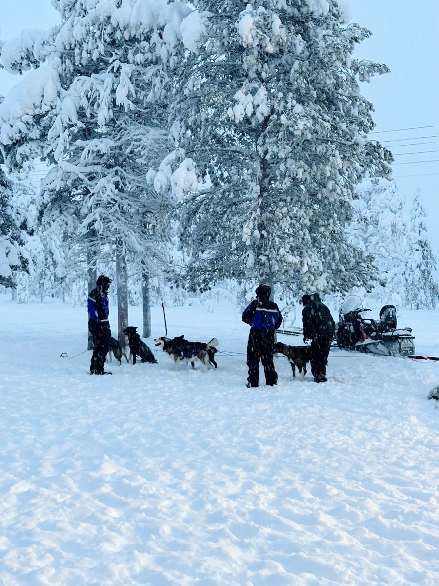 해외 여행자보험 가격, 24시간 응급 지원 인슈플러스 IN 북유럽 여행 핀란드