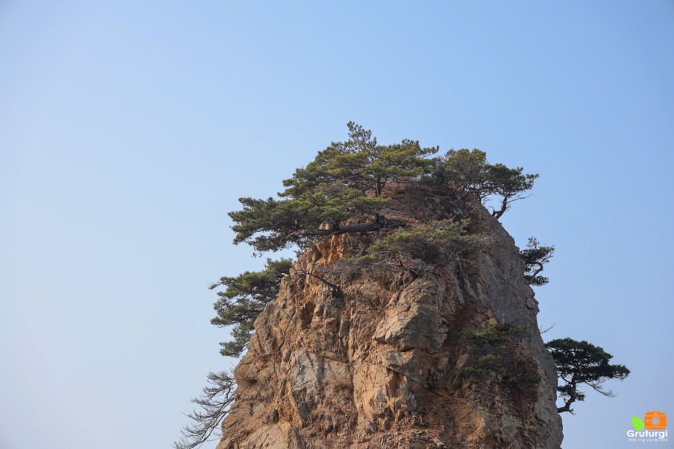 충남 태안 가볼만한곳 겨울 태안 여행 코스