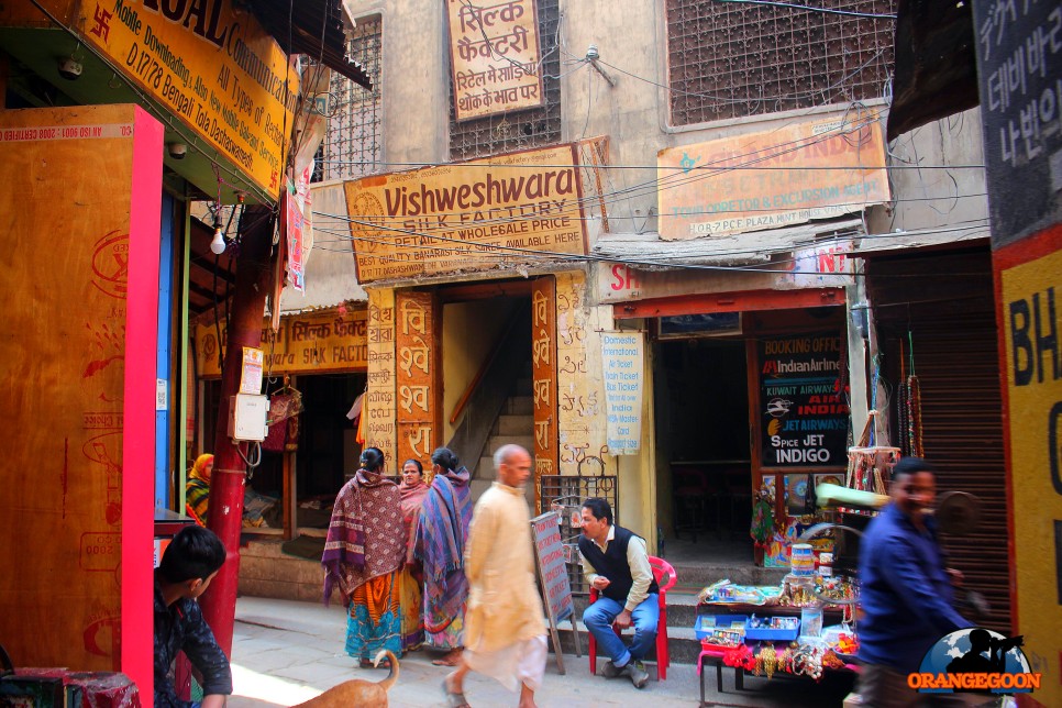 (인도 바라나시 / 바라나시 도보여행 #30) 힌두교의 성지 갠지스 강을 향해 걷는 여행. 골목을 걸으며 경험하는 보물찾기 Varanasi, Uttar Pradesh