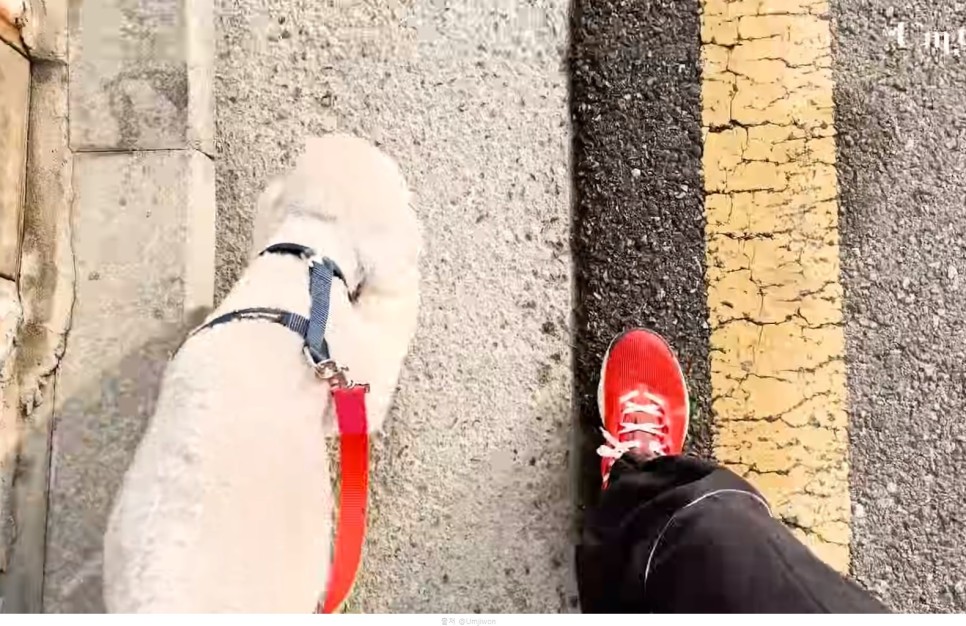 엄지원 다이어트운동 아침 공복 유산소 효과 하루 30분 10KM 만보 걷기 조깅 러닝