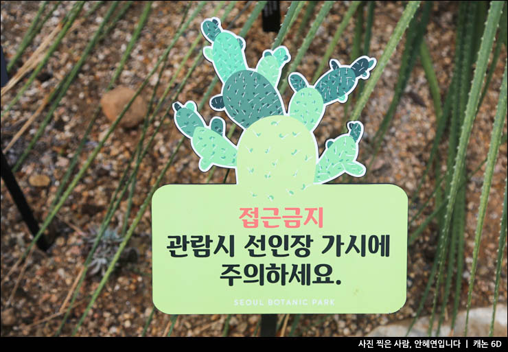 서울여행 서울 볼거리 수목원 추천 강서구 가볼만한곳 마곡 서울식물원 공원