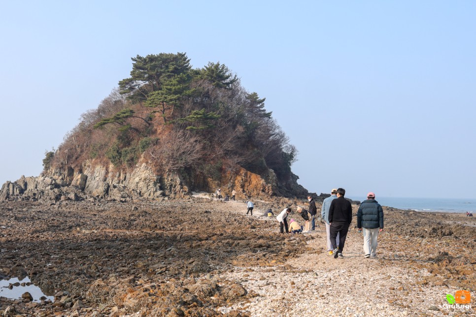 충남 태안 가볼만한곳 겨울 태안 여행 코스