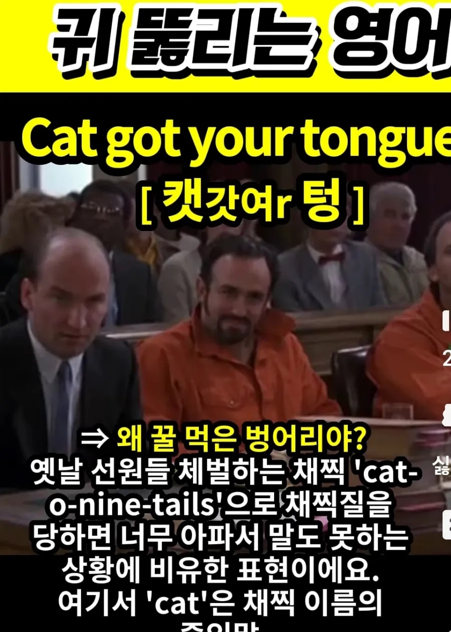 과천 할매와 귀 뚫리는 영어, 왜 꿀먹은 벙어리야?[ 캣갓여r 텅 ] Cat got your tongue?
