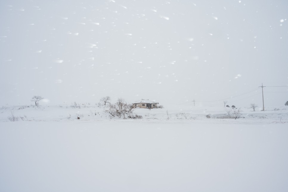 [전라도 출사] 장성 외딴집 겨울 눈 쌓인 풍경