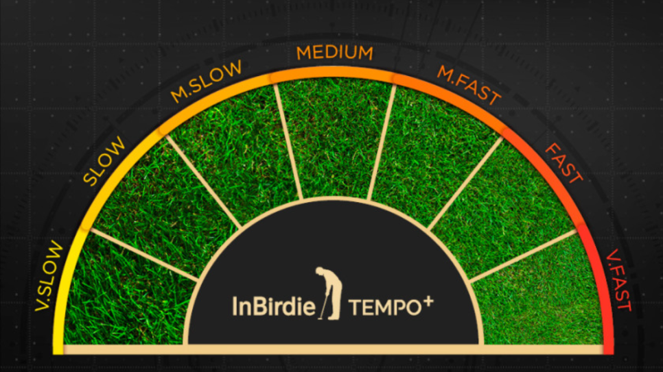 골프 퍼팅 연습기 추천 - 인버디 템포 플러스, 인버디 우즈 플러스 퍼팅매트 비교 분석