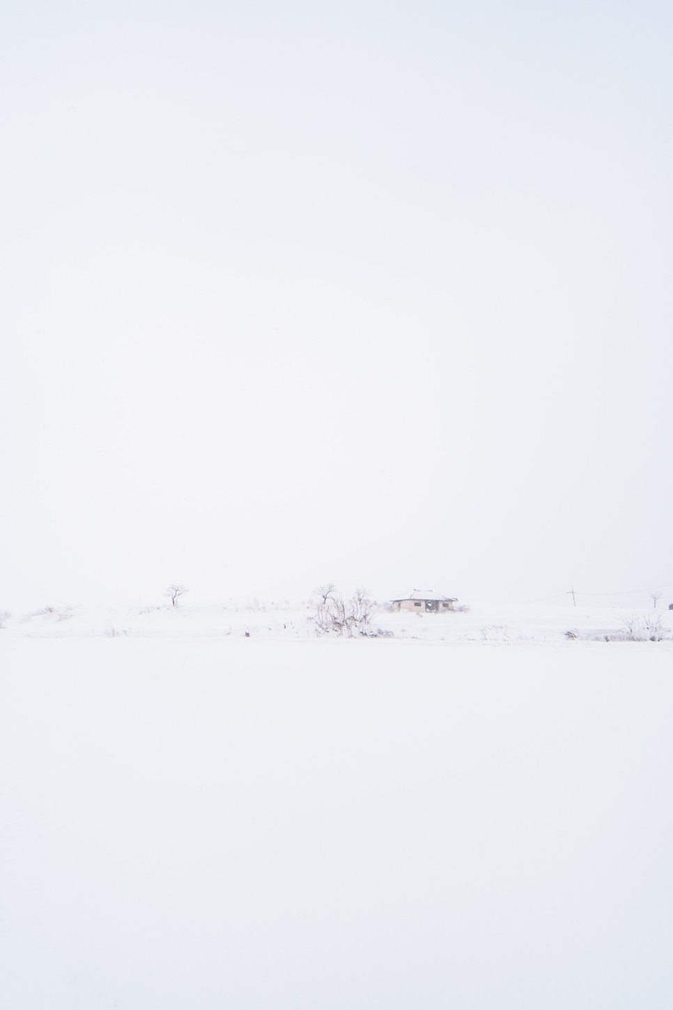 [전라도 출사] 장성 외딴집 겨울 눈 쌓인 풍경