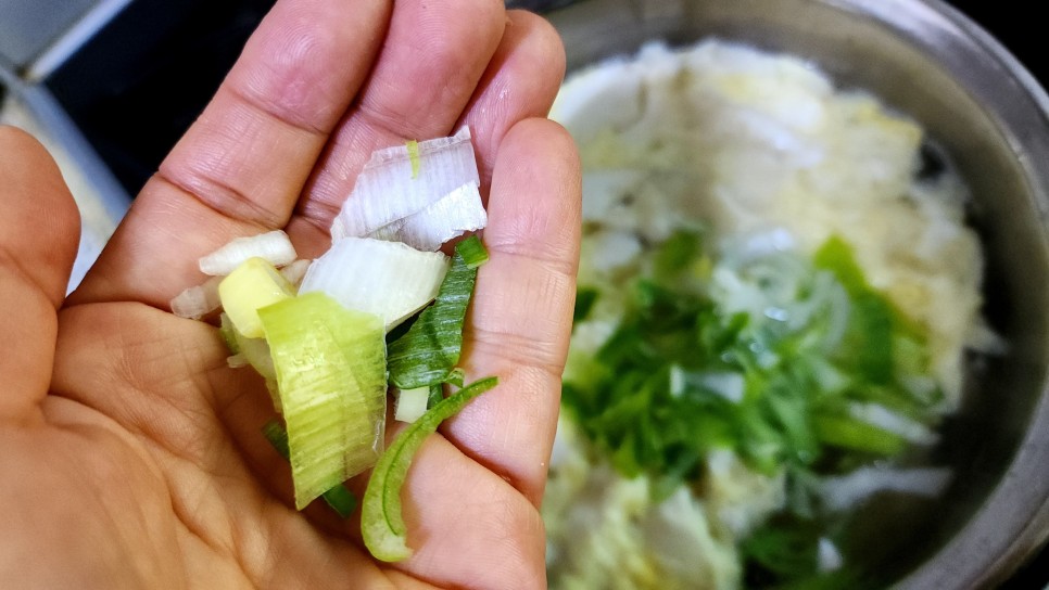 한그릇음식 순두부 계란탕 만들기 간단한 자취요리 순두부 계란국 끓이는법