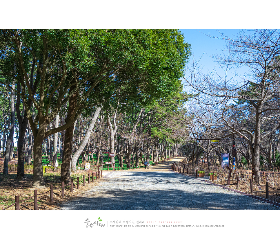 울산 명소 데이트 코스 대왕암 출렁다리 울산 대왕암 공원