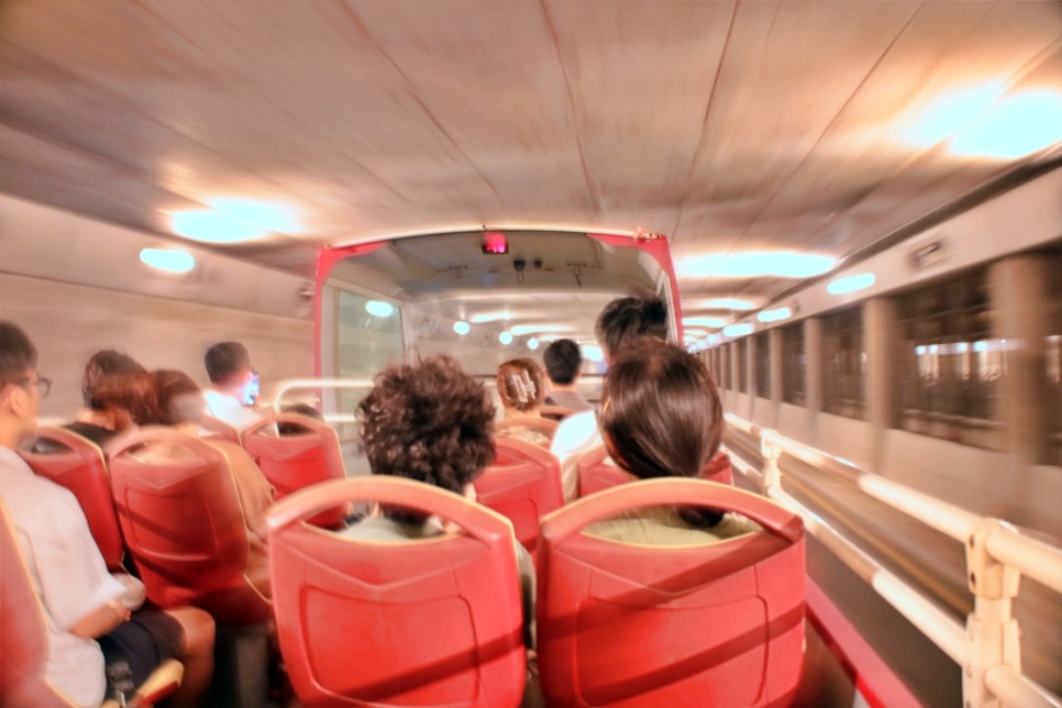 마카오 여행 윈팰리스 분수쇼 야경 편하게 즐기는 방법 나이트 버스 야경투어 후기