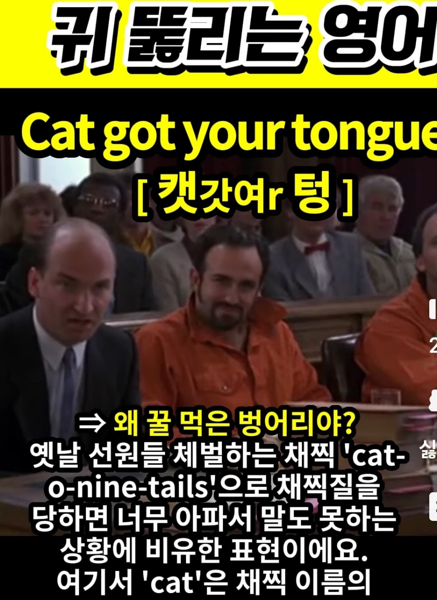 과천 할매와 귀 뚫리는 영어, 왜 꿀먹은 벙어리야?[ 캣갓여r 텅 ] Cat got your tongue?