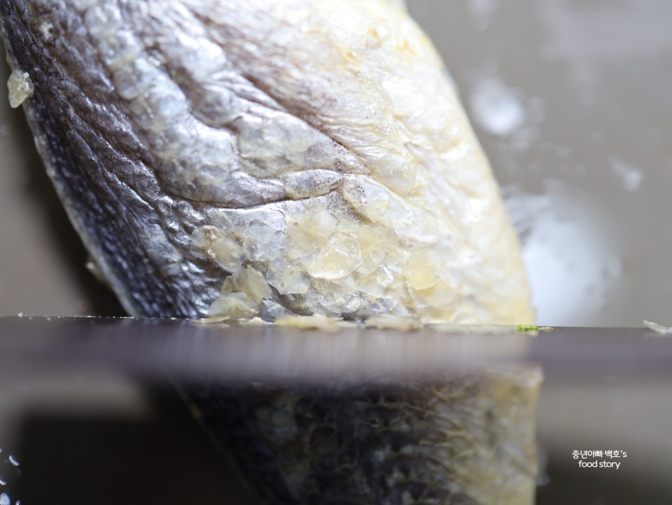 보리굴비선물세트 오빠네굴비 찜 찌는법 부세 손질 찐 요리법