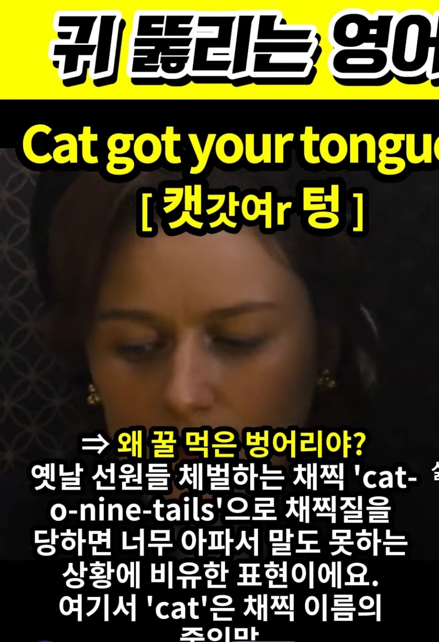 과천 할매와 귀 뚫리는 영어, 왜 꿀먹은 벙어리야?[ 캣갓여r 텅 ] Cat got your tongue?