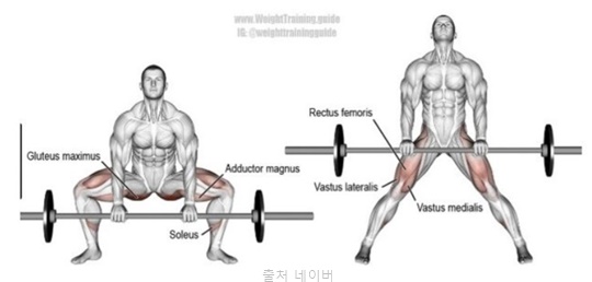 데드리프트 종류 자세 효과 컨벤셔널 루마니안 스모 스티프 원레그 하체 근력 등운동