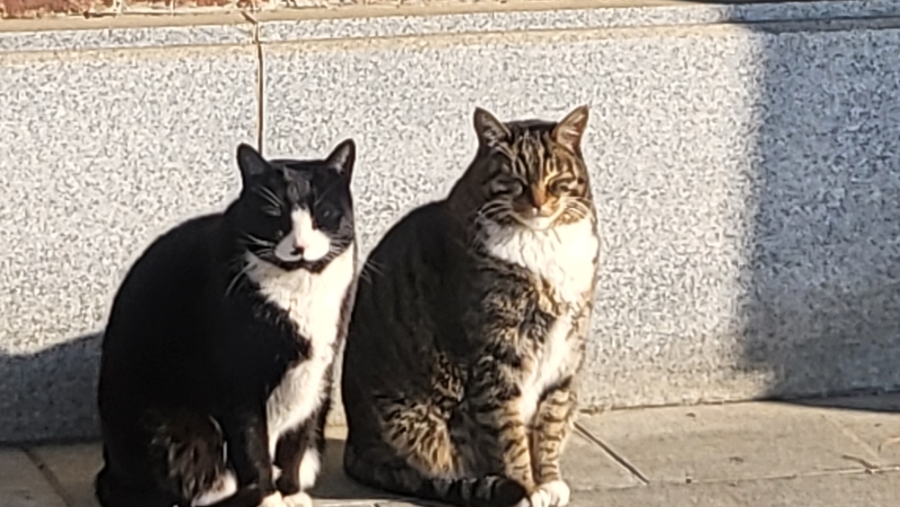 과천 서울대공원  완전 봄 날씨