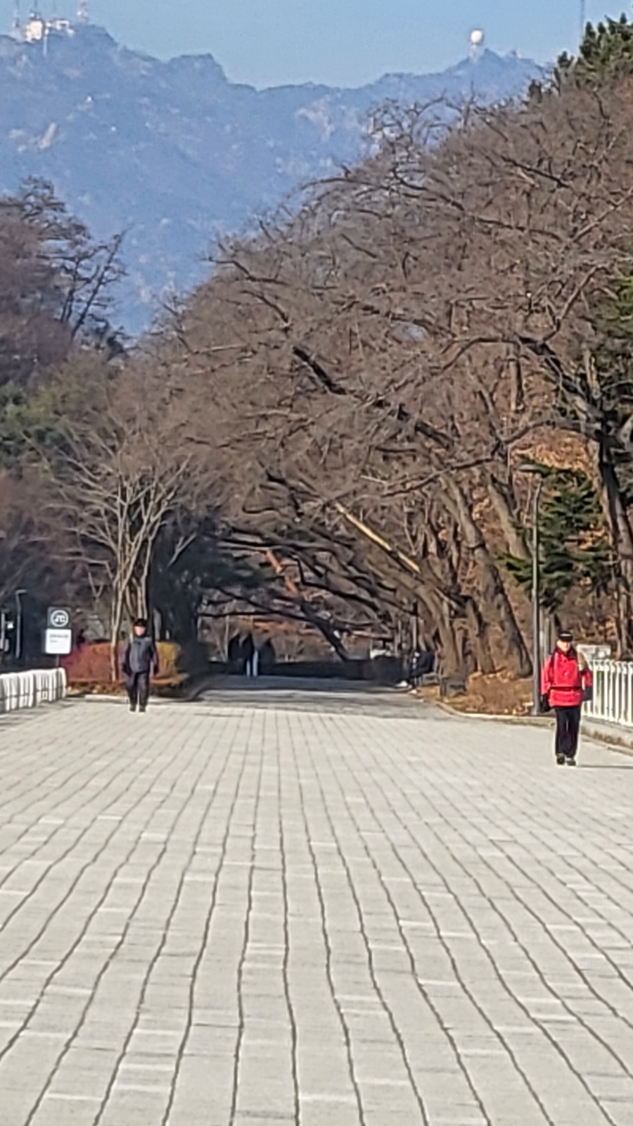 과천 서울대공원  완전 봄 날씨