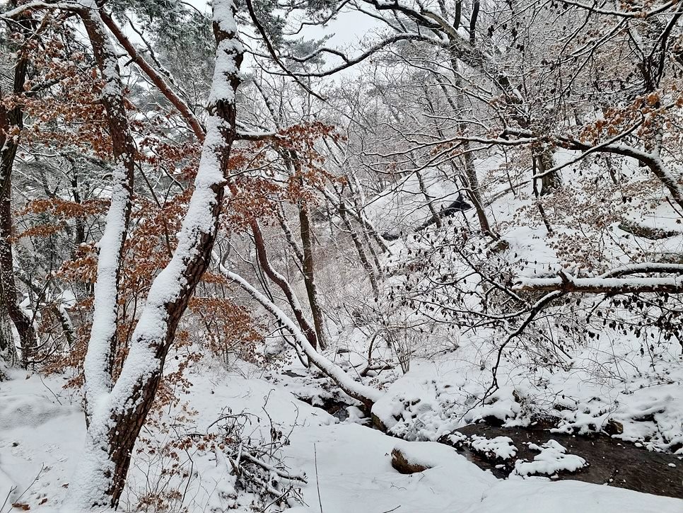 [북한산국립공원] 북한산, 그림 같은 화이트 크리스마스를 즐기다