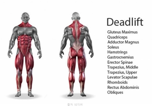 데드리프트 종류 자세 효과 컨벤셔널 루마니안 스모 스티프 원레그 하체 근력 등운동