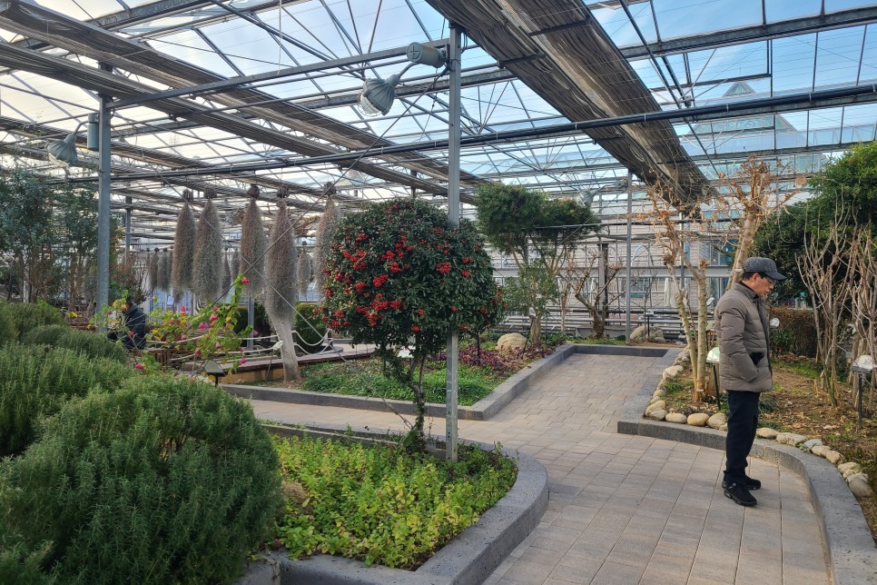 안산 겨울에 갈만한곳 안산식물원 무료관람, 예쁜 식물원!