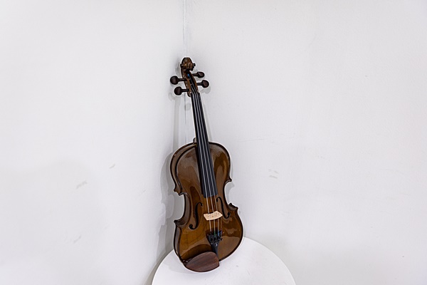 바이올린 연습용바이올린 추천 레슨 독학 사이즈 튜닝 스텐터 1400 바이올린 강좌